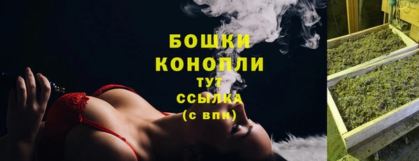 бошки Алексин