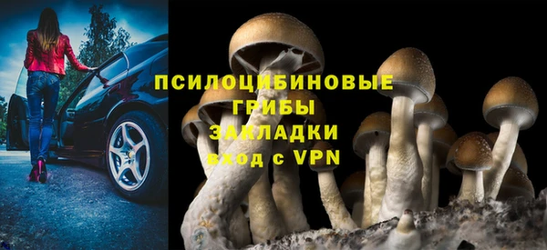 бошки Алексин