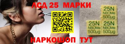 СК Дубна