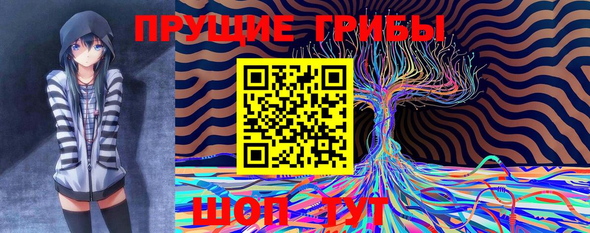 Псилоцибиновые грибы Psilocybe Ковров