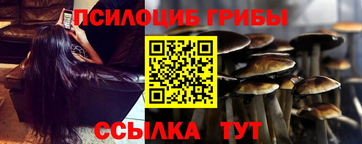 Псилоцибиновые грибы Psilocybe  Вход с VPN  где купить   Ковров 